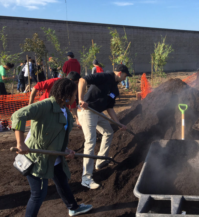 tree planting