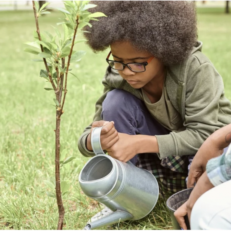 soil toxics in community gardens