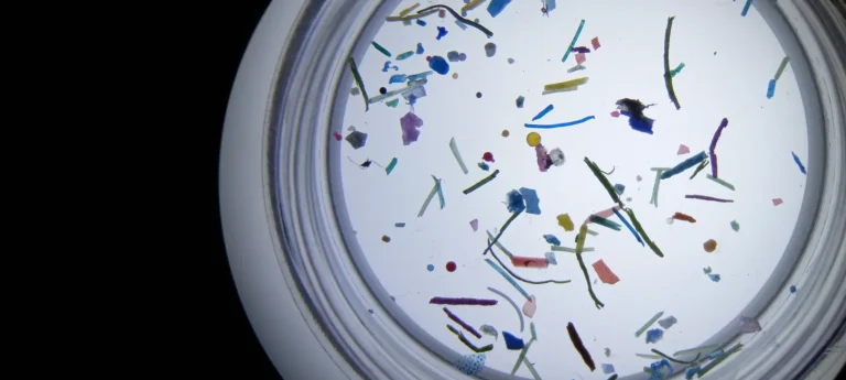 microplastics